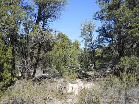 1988 Stagg Run, Overgaard, AZ 85933 photo 18