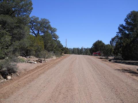 1988 Stagg Run, Overgaard, AZ 85933 photo 3