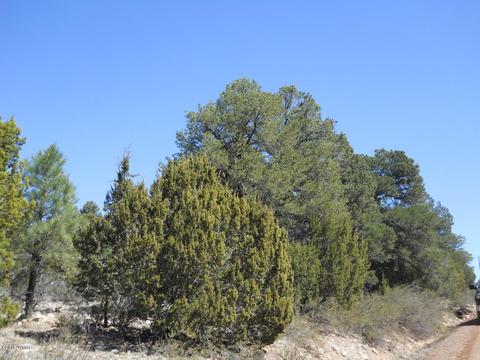 1988 Stagg Run, Overgaard, AZ 85933 photo 1