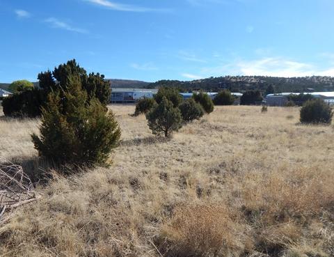 1519 W 10th St, Eagar, AZ 85925 photo 1