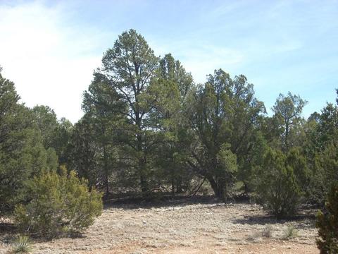 3335 Tonto Dr, Overgaard, AZ 85933 photo 11