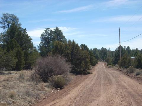 3335 Tonto Dr, Overgaard, AZ 85933 photo 2