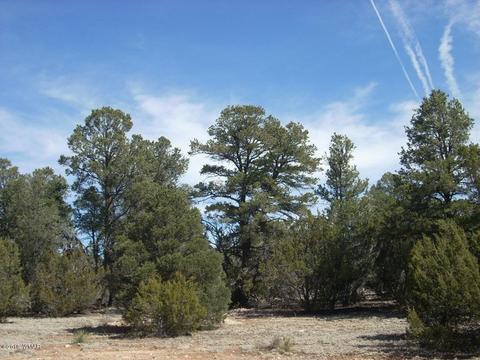 3335 Tonto Dr, Overgaard, AZ 85933 photo 1