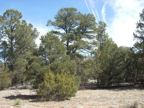 3335 Tonto Dr, Overgaard, AZ 85933 photo 5