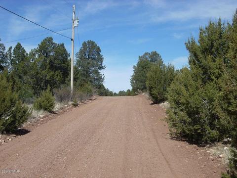3335 Tonto Dr, Overgaard, AZ 85933 photo 13