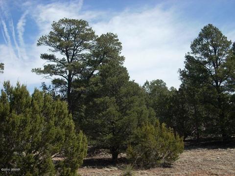 3335 Tonto Dr, Overgaard, AZ 85933 photo 9