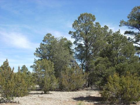 3335 Tonto Dr, Overgaard, AZ 85933 photo 6