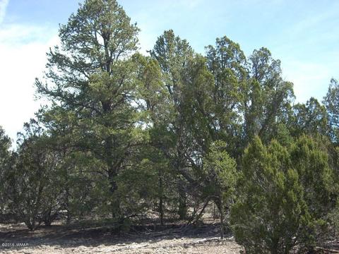 3335 Tonto Dr, Overgaard, AZ 85933 photo 7