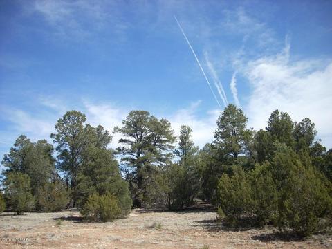 3335 Tonto Dr, Overgaard, AZ 85933 photo 3