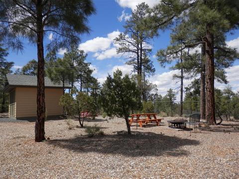 1010 E Pine Oaks Dr, Show Low, AZ 85901 photo 57