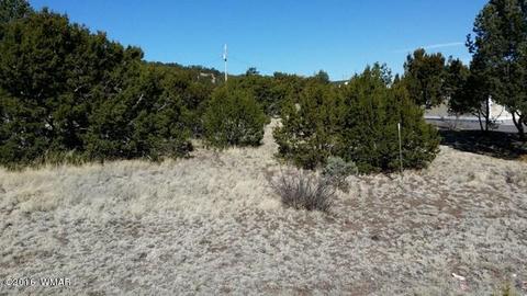 1314 S Cedar St, Eagar, AZ 85925 photo 35