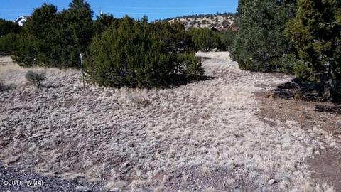 1314 S Cedar St, Eagar, AZ 85925 photo 34