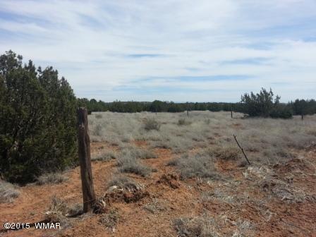 3845 Ramsay Rd, Snowflake, AZ 85937 photo 4
