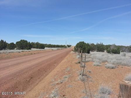 3845 Ramsay Rd, Snowflake, AZ 85937 photo 3