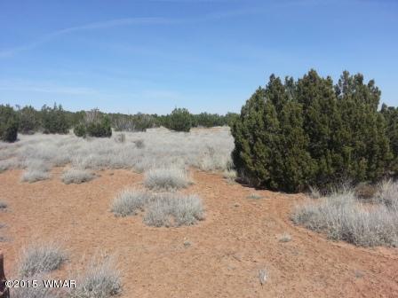 3845 Ramsay Rd, Snowflake, AZ 85937 photo 5