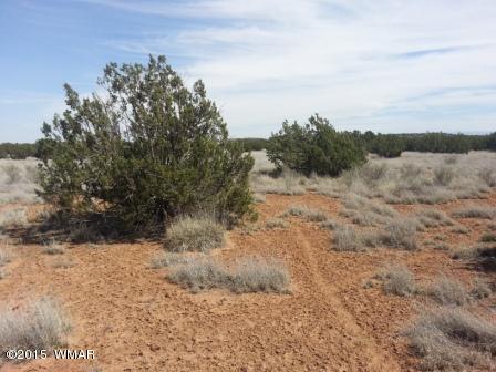 3845 Ramsay Rd, Snowflake, AZ 85937 photo 2