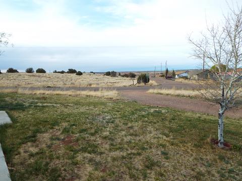 808 S Tanner Ln, Snowflake, AZ 85937 photo 10