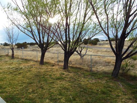 808 S Tanner Ln, Snowflake, AZ 85937 photo 14