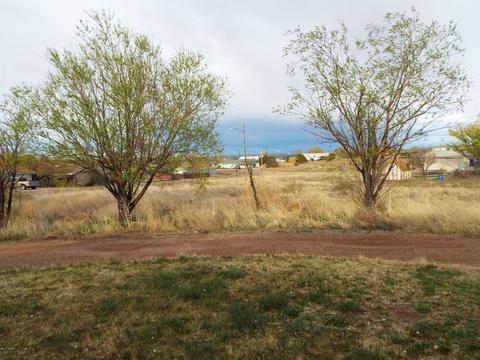 808 S Tanner Ln, Snowflake, AZ 85937 photo 9