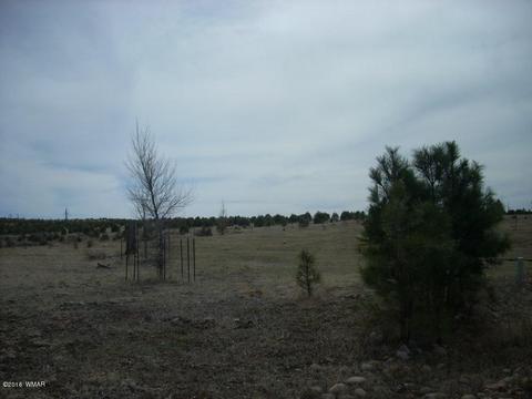 2249 Big Bear Cir, Overgaard, AZ 85933 photo 3