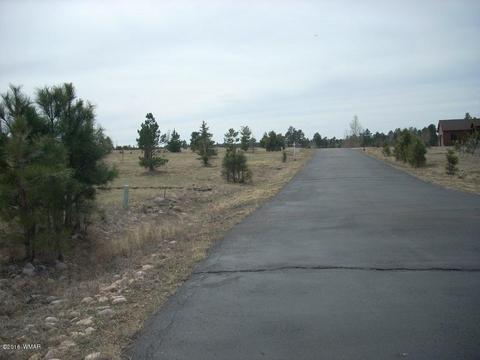2249 Big Bear Cir, Overgaard, AZ 85933 photo 13