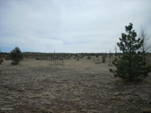 2249 Big Bear Cir, Overgaard, AZ 85933 photo 6