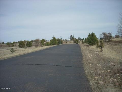 2249 Big Bear Cir, Overgaard, AZ 85933 photo 12