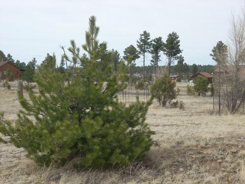 2249 Big Bear Cir, Overgaard, AZ 85933 photo 2