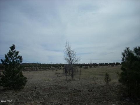 2249 Big Bear Cir, Overgaard, AZ 85933 photo 4