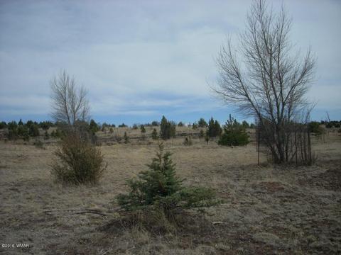 2249 Big Bear Cir, Overgaard, AZ 85933 photo 7