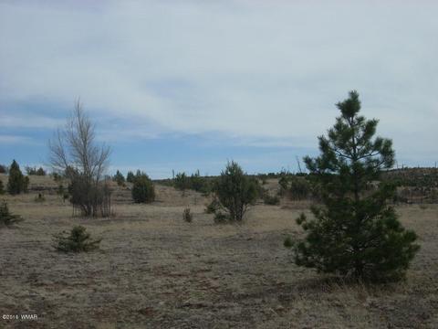 2249 Big Bear Cir, Overgaard, AZ 85933 photo 1