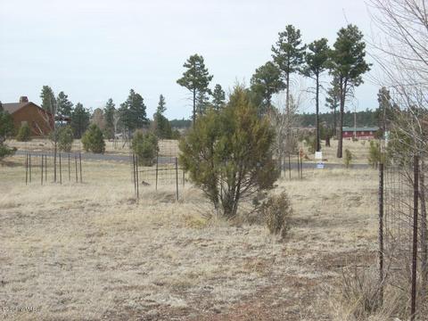 2249 Big Bear Cir, Overgaard, AZ 85933 photo 14