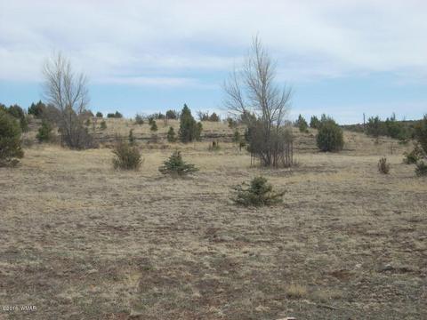 2249 Big Bear Cir, Overgaard, AZ 85933 photo 5