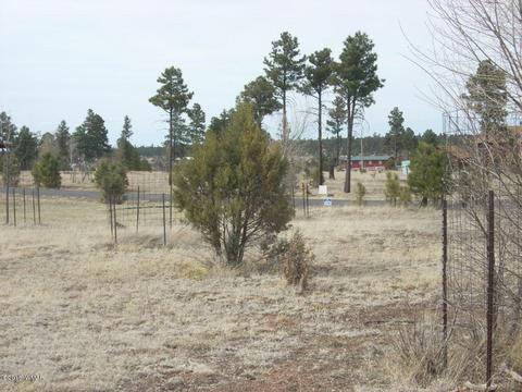 2249 Big Bear Cir, Overgaard, AZ 85933 photo 11