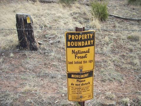 2249 Big Bear Cir, Overgaard, AZ 85933 photo 9