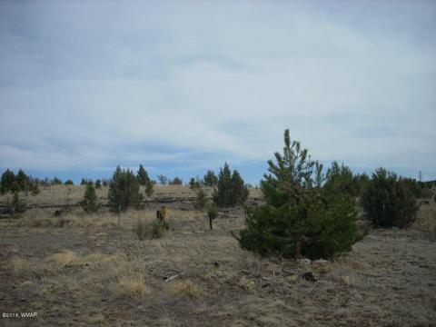 2249 Big Bear Cir, Overgaard, AZ 85933 photo 8
