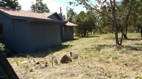 2080 Rendezvous Pine Dr, Overgaard, AZ 85933 photo 12