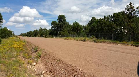 2080 Rendezvous Pine Dr, Overgaard, AZ 85933 photo 13
