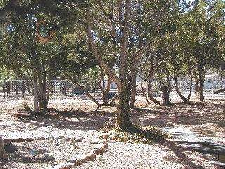 2019 Sunset Trl, Overgaard, AZ 85933 photo 14