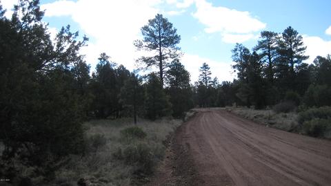 3344 Turkey Run, Overgaard, AZ 85933 photo 15