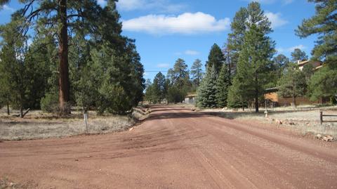 3344 Turkey Run, Overgaard, AZ 85933 photo 3