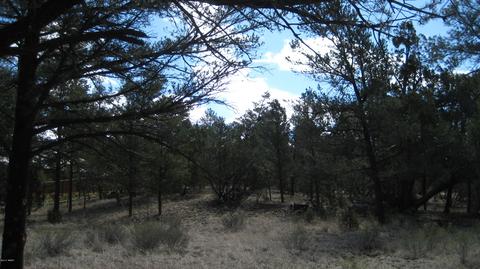 3344 Turkey Run, Overgaard, AZ 85933 photo 6