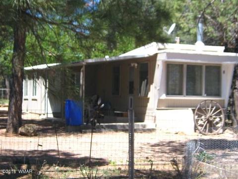 2892 Verde Rd, Overgaard, AZ 85933 photo 11