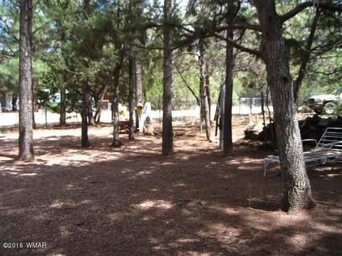 2892 Verde Rd, Overgaard, AZ 85933 photo 21