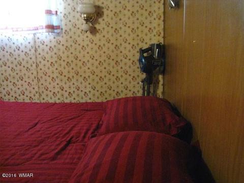 2892 Verde Rd, Overgaard, AZ 85933 photo 5