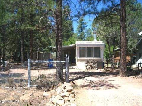 2892 Verde Rd, Overgaard, AZ 85933 photo 19