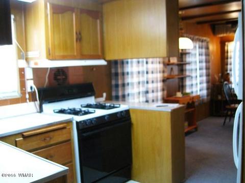 2892 Verde Rd, Overgaard, AZ 85933 photo 14
