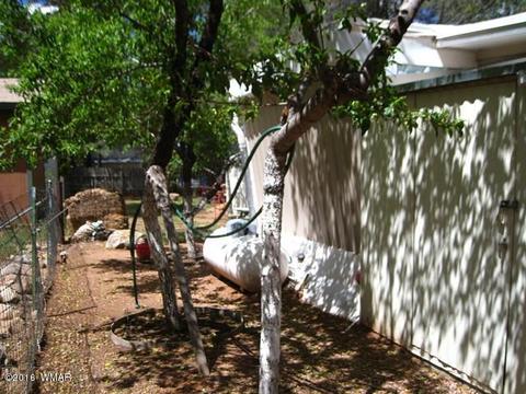 2892 Verde Rd, Overgaard, AZ 85933 photo 18