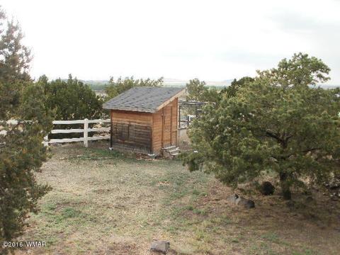 963 S Juniper St, Eagar, AZ 85925 photo 53