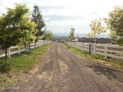 963 S Juniper St, Eagar, AZ 85925 photo 54